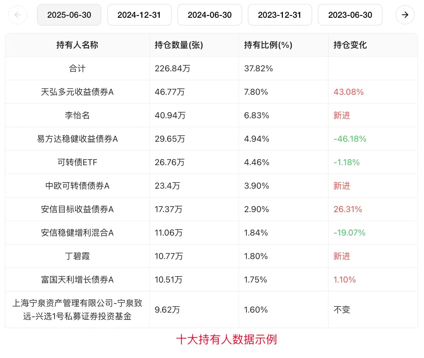 十大持有人